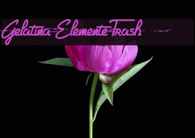 Gelatina Elemente Trash Example 2