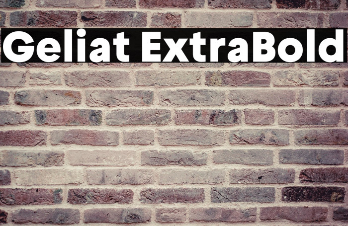 Geliat ExtraBold Example 2