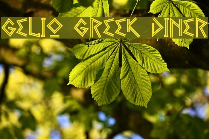 Gelio Greek Diner Font examples