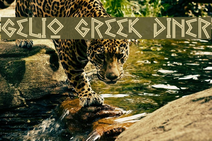Gelio Greek Diner Font examples