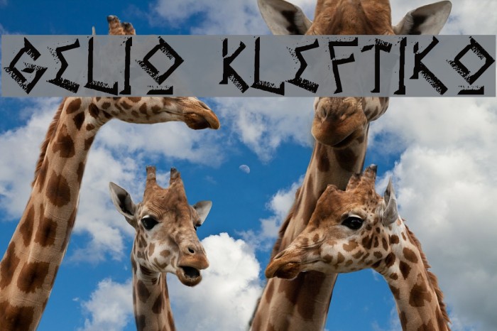 Gelio Kleftiko Font examples