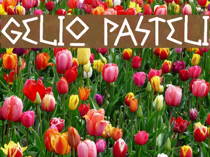 Gelio Pasteli Font examples