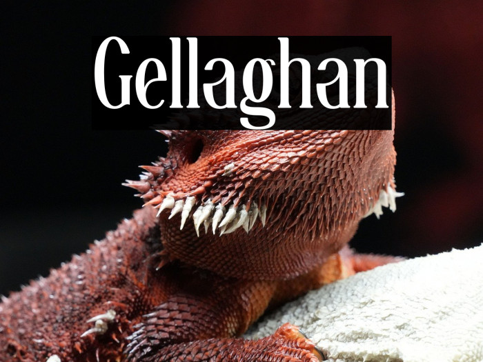 Gellaghan Example 1