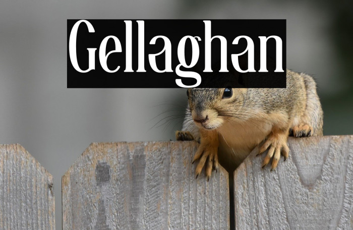 Gellaghan Example 3