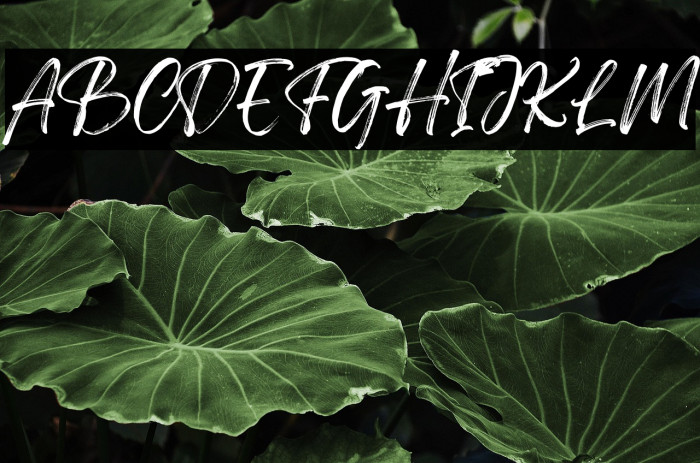 Gellatio Personal Use Example 2