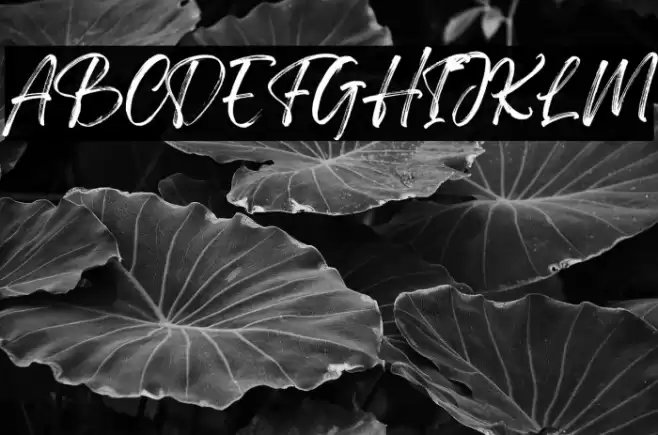 Gellatio Personal Use Font examples