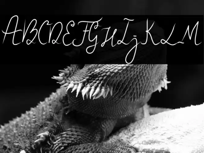 Gellato Font examples