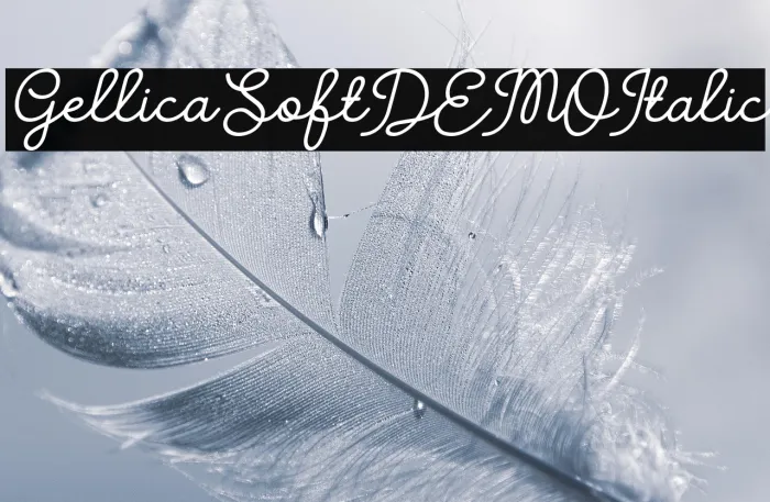 Gellica Soft DEMO Italic Example 2