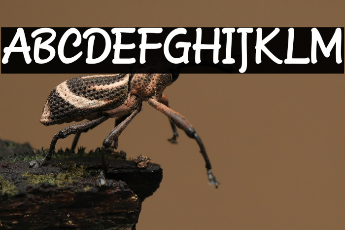 Gellosia_Demo Example 1