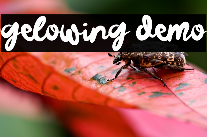 Gelowing Demo Example 3