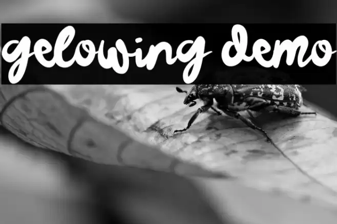 Gelowing Demo Fuentes examples