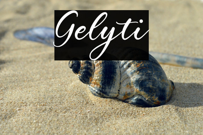 Gelyti Example 2