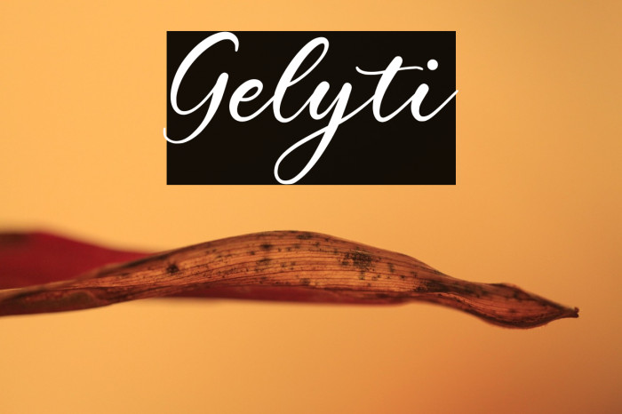 Gelyti Example 3