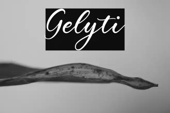Gelyti Font examples