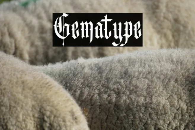 Gematype Example 3