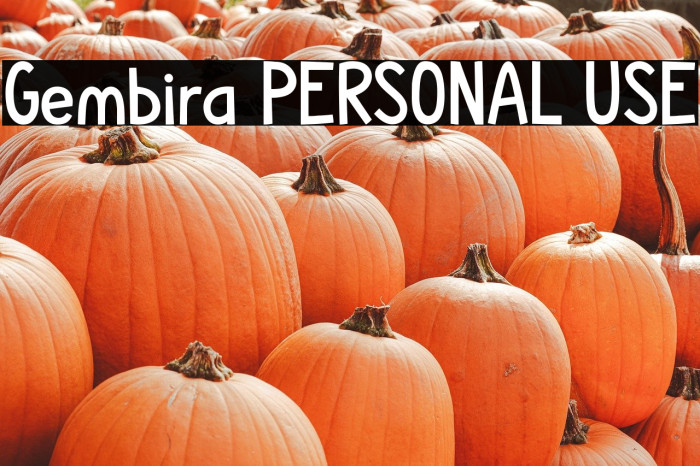 Gembira PERSONAL USE Example 2