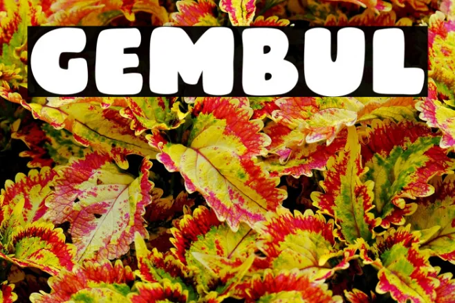 Gembul Example 3