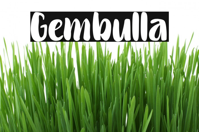 Gembulla Example 3