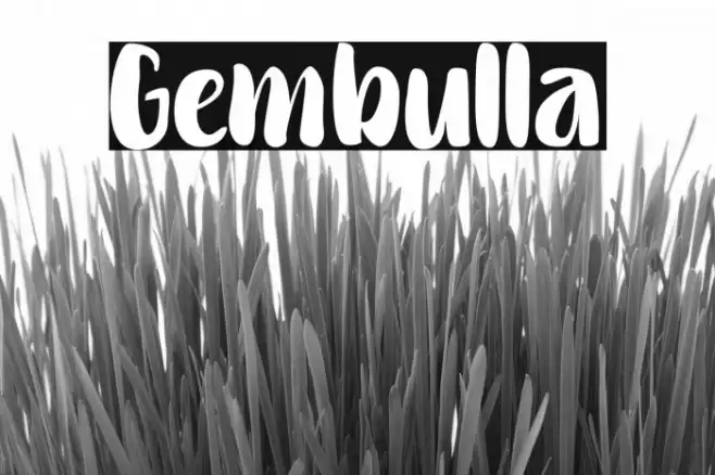 Gembulla Font examples