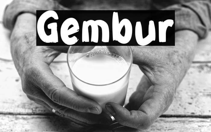 Gembur Example 2