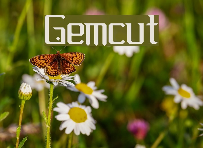 Gemcut Example 2