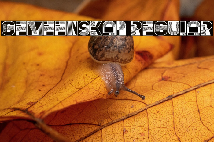 Gemeenskap Regular Example 2