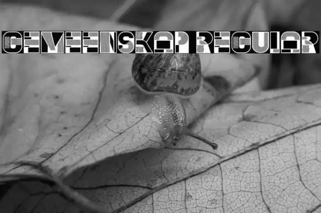 Gemeenskap Regular Font examples