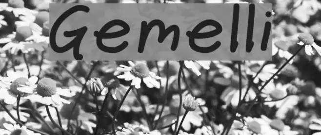 Gemelli Font examples