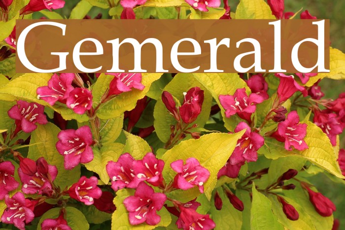 Gemerald Font examples