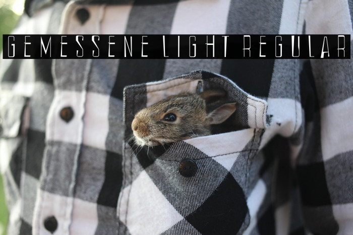 Gemessene Light Regular Example 2