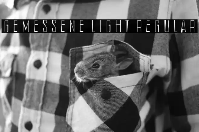 Gemessene Light Regular Font examples