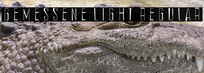 Gemessene Light Regular Example 3