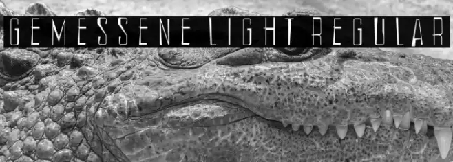 Gemessene Light Regular Font examples