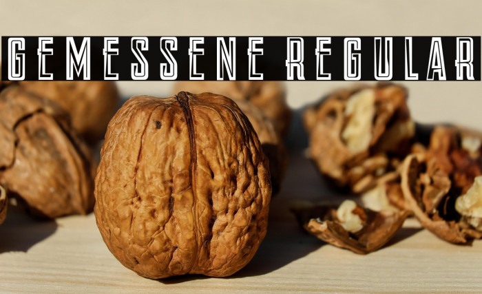 Gemessene Regular Example 1