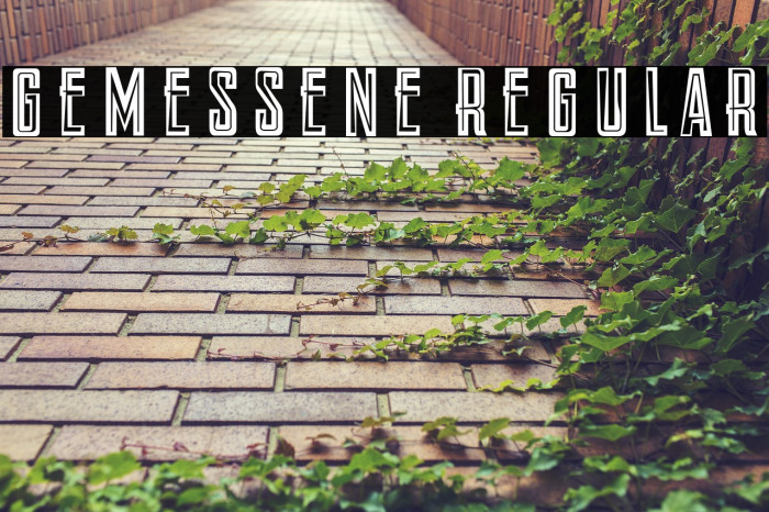 Gemessene Regular Example 2