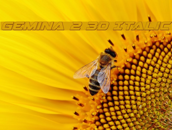 Gemina 2 3D Italic Font examples