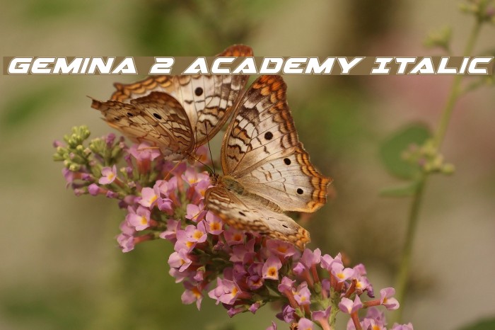 Gemina 2 Academy Italic Font examples