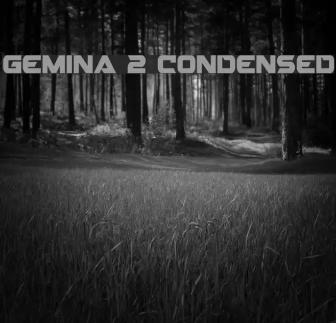 Gemina 2 Condensed Font examples