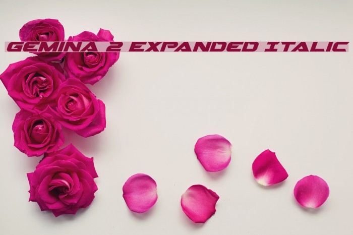 Gemina 2 Expanded Italic Font examples