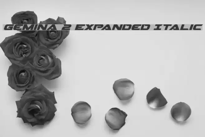 Gemina 2 Expanded Italic Font examples