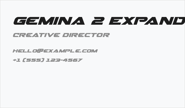 Gemina 2 Expanded Italic Business Card