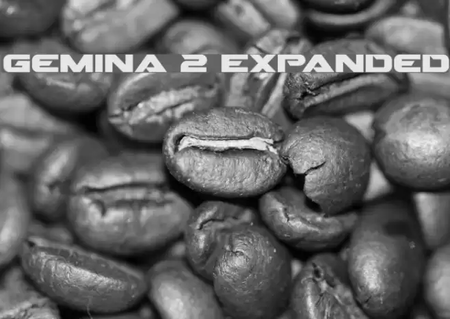 Gemina 2 Expanded Font examples