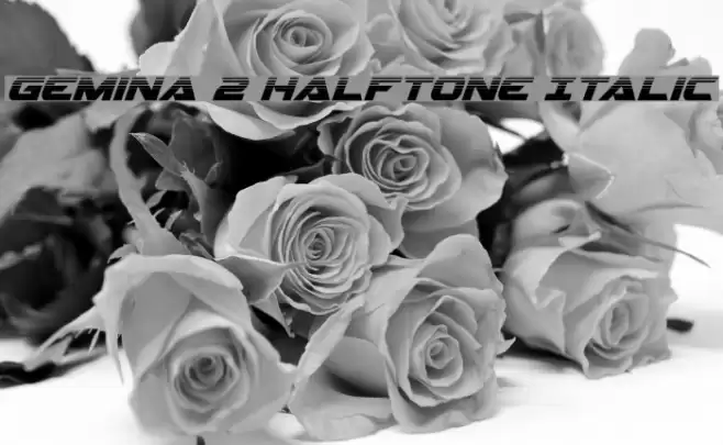 Gemina 2 Halftone Italic Font examples