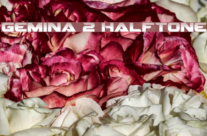 Gemina 2 Halftone Font examples