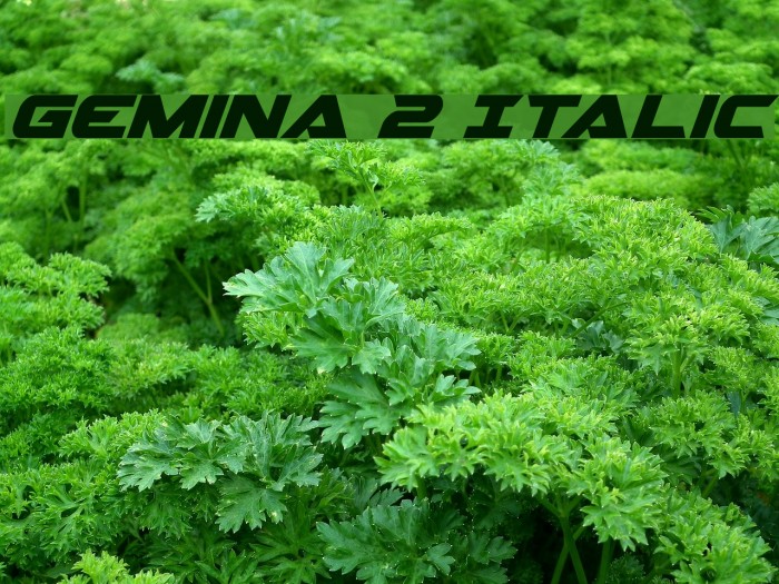 Gemina 2 Italic Example 2