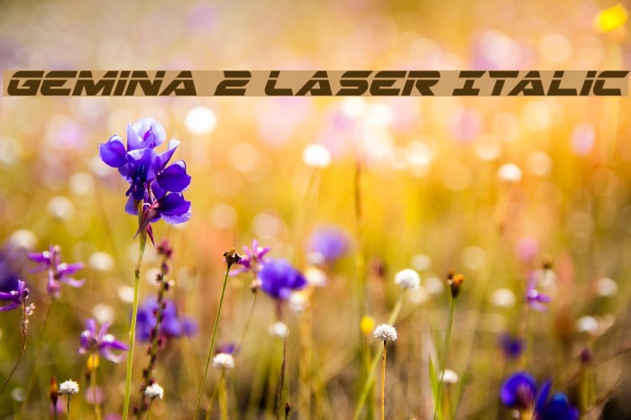 Gemina 2 Laser Italic Font examples