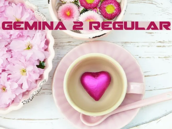 Gemina 2 Regular Example 1