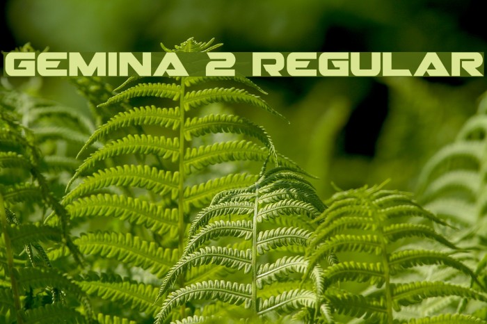 Gemina 2 Regular Font examples