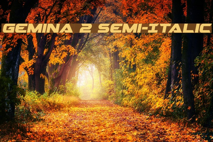 Gemina 2 Semi-Italic Font examples