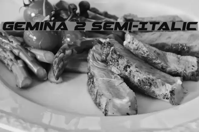 Gemina 2 Semi-Italic Font examples